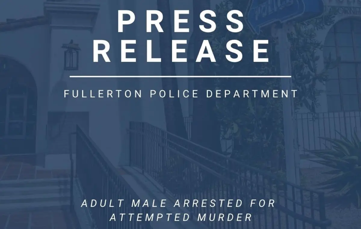Assault News Image