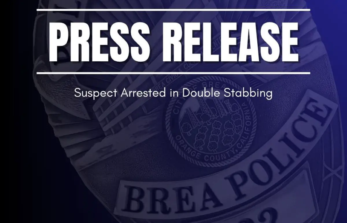 Assault News Image